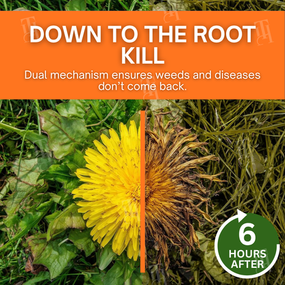 AEXZR® 2-in-1 Max Power Herbicide-🌿Dual-Action Weed Killer in 6 Hours☠️